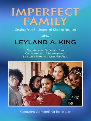 cover image of Imperfect Family